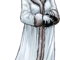 Days Of Wonder Ticket To Ride Nordic Countries - Bordspel - Engelstalig -Bordspellen Verkoopwinkel 402x840