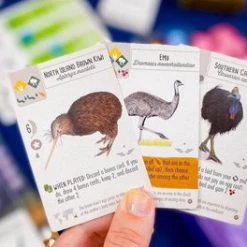 999 Games Wingspan Uitbreiding: Oceani Bordspel -Bordspellen Verkoopwinkel 550x264 4