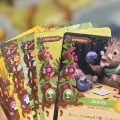 White Goblin Games - Everdell - Bordspel -Bordspellen Verkoopwinkel 550x366 64