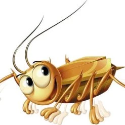 Ravensburger La Cucaracha - Pocketspel -Bordspellen Verkoopwinkel 550x398 3