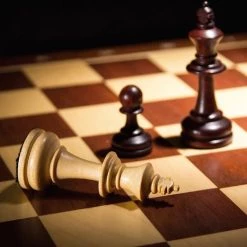 In Round Houten Schaakbord Met Schaakstukken Luxe Schaakspel Hout 14 In Round Houten Schaakbord Met Schaakstukken Luxe Schaakspel Hout -Bordspellen Verkoopwinkel 550x522 10