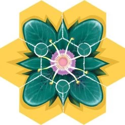 Next Move Games BEEZ! - Bordspel -Bordspellen Verkoopwinkel 550x529 5