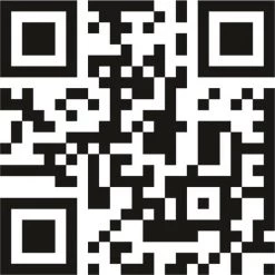 Jumbo Stratego Junior -Bordspellen Verkoopwinkel 550x550 418