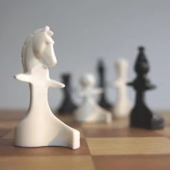 Paco Ŝako Paco Sako Vredes Schaak : HOT Exclusive -Bordspellen Verkoopwinkel 550x550 610