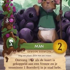 White Goblin Games - Everdell - Bordspel -Bordspellen Verkoopwinkel 550x768